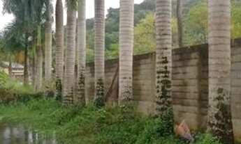 Imagem: Chacara em Peruíbe