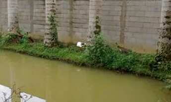 Imagem 5: Chacara em Peruíbe