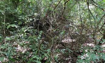 Imagem 6: 113767 - CHÁCARA COM 1,75 HA, FIBRA ÓTICA VERTENTE MATERIAL PARA CONSTRUÇÃO VISTA P/ L..