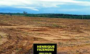 Imagem 4: Fazenda dupla aptidão aberta região de Rio Sono Tocantins