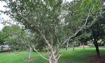 Imagem 7: Sítio para venda bairro sitío recreio ipê goiânia - SI1735