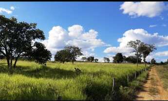 Imagem 4: Fazendinha Regiao Pecuaria....Jequitài...125 Hectares...