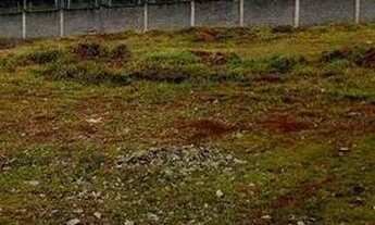 Imagem: Terreno à Venda Alphaville II