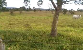 Imagem 2: Vendo fazenda em Cocalzinha com 71 alqueires