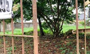 Imagem 6: Terreno excelente localização PARQUE 10 DE NOVEMBRO