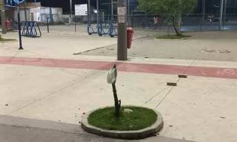 Imagem 7: Casa Tipo Kitnet Nova Sepetiba