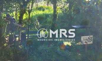 Imagem 5: Sítio com 2 dormitórios à venda, 60.000 m² - Moura - Canelinha/SC