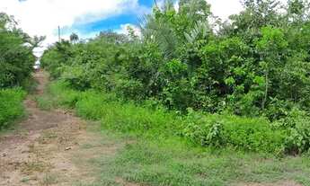 Imagem 5: Vendo 2 lotes ligados, medindo 10x30m cada, região Usina Santana