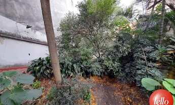 Imagem 4: São Paulo - Casa Comercial - Tucuruvi