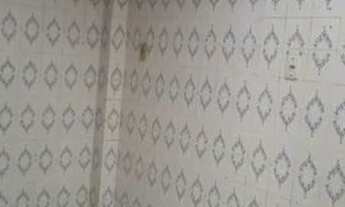 Imagem 3: Casa, 2/4, otimo acabamento, bem localizada, excelente