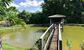 Imagem 4: Fazenda em Goianápolis px de Goiânia