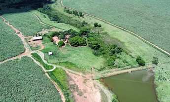 Imagem 2: 37 alqueirão - Cana - 65 ton