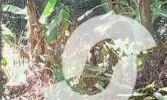 Imagem 6: Terreno à venda, 750 m² por R$ 350.000,00 - Serra Grande - Niterói/RJ