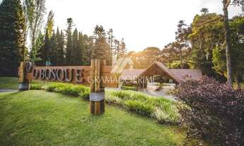 Imagem 3: TERRENO COM PROJETO APROVADO