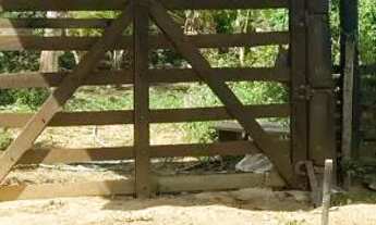 Imagem: Terreno com água e energia,5 hectares,28