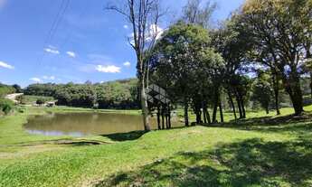 Imagem 5: Propriedade Rural de 3,95 Hectares