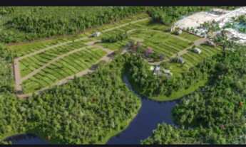 Imagem 7: Condomínio fechado de Lotes em Guarapari na Enseada Azul