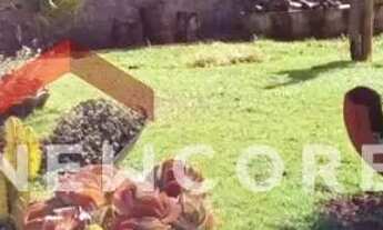 Imagem: Chácara em Área Rural - Área Rural de