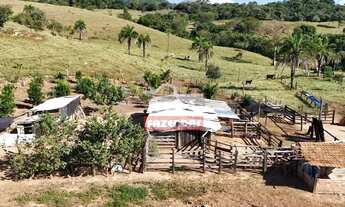 Imagem 7: Chacara 3 alqueires (14,52 hectares) Heitorai - GO