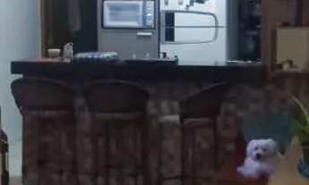 Imagem 3: Moinho dos ventos 2/4