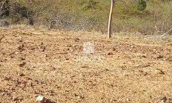 Imagem: Chácara em Mirabela, no bairro Centro