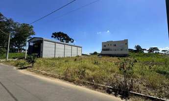 Imagem 5: CAXIAS DO SUL - Terreno Padrão - SÃO VIRGÍLIO