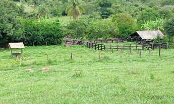 Imagem 6: Fagenda à Venda em Campinaçu