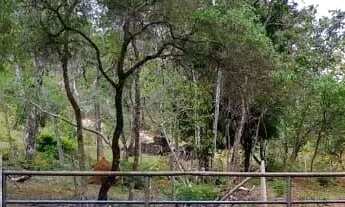 Imagem: Terreno de 2 mil metros em azurita