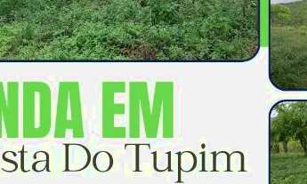 Imagem: FAZENDA EM BOA VISTA DO TUPIM - 1200 TAREFAS