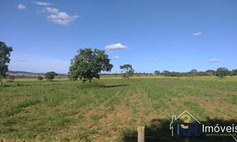 Imagem: Chácara com 6 alqueres, rica em água no