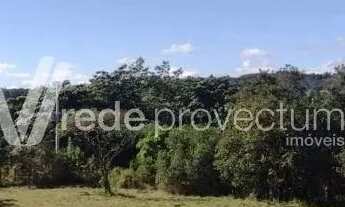 Imagem 4: Terreno - Sousas - Campinas