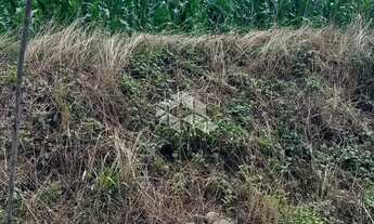 Imagem 7: Terreno em Tuiuty