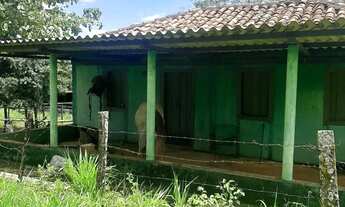 Imagem 3: Fazenda Itumbiara 18 alqueires