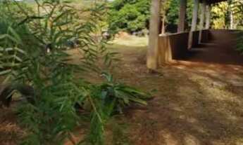 Imagem 5: Chácara na beira da represa Jacareí