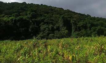 Imagem 5: Lote em Ibiúna em Região Valorizada - ibiuna - SP