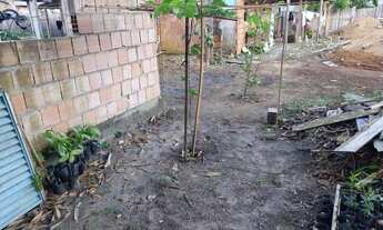 Imagem: Teremos em novo Airão