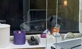 Imagem 7: Apartamento em Cidade Baixa