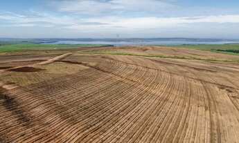 Imagem: Fazenda de cana 140 alqueires Região de