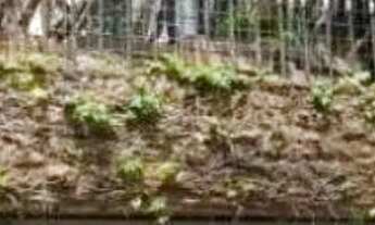 Imagem 2: CASA SOBREPOSTA - LAPA - SP