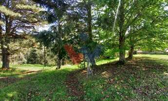 Imagem 7: Chácara dos Ambrósios 60.000 m de Natureza e Conforto em Tijucas do Sul