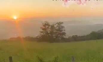 Imagem: Lotes para venda tem 1000 metros quadrados