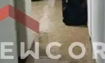 Imagem 6: Sobrado em Rua Josefa Ribeiro de Oliveira - Parque Continental - Guarulhos/SP