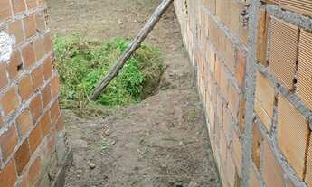 Imagem 2: Vendo treino no papagaio