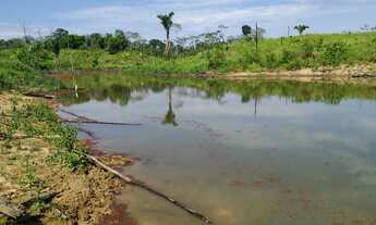 Imagem 7: Vendo colônia em Sena Madureira
