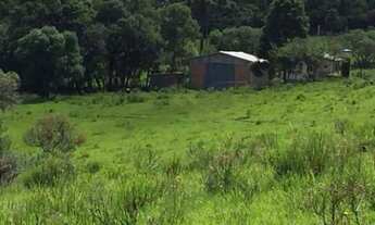 Imagem 6: Fazenda para criação de gado em Jaquirana/RS