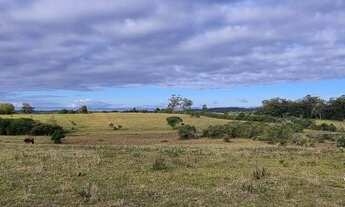 Imagem 5: Excelente sítio 4,7 hectares com eterna vista em Viamão, troca apartamento