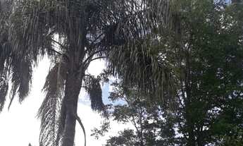 Imagem 2: Fazenda/Sítio/Chácara para venda com 9757000 metros quadrados