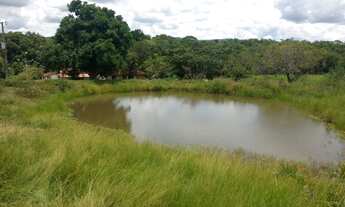 Imagem 3: 69 alqueires beira rio em Goias velho-Go