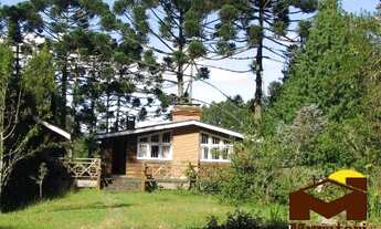 Imagem: Casa na região de Jaguaribe