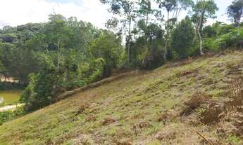 Imagem 2: Fazenda/Sítio/Chácara para venda tem 8000 metros quadrados em Aracê - Domingos Martins - E